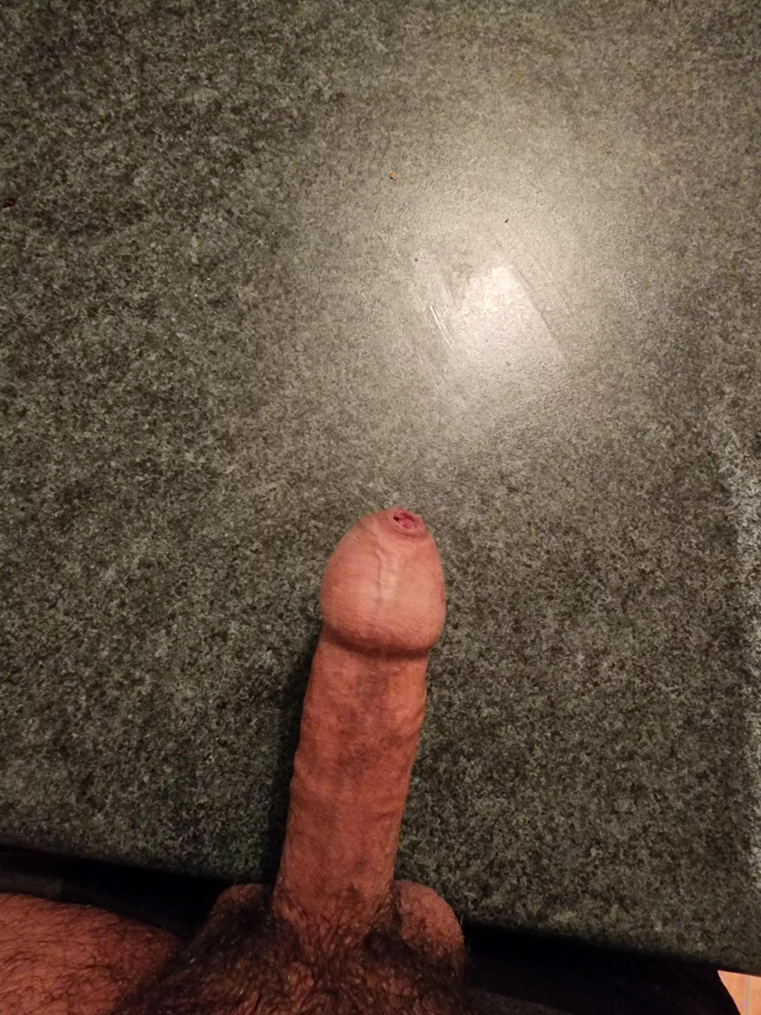 Rate my cock on the kitchen counter 😂