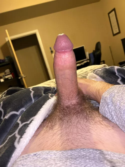 Should I stoke my fat cock?
