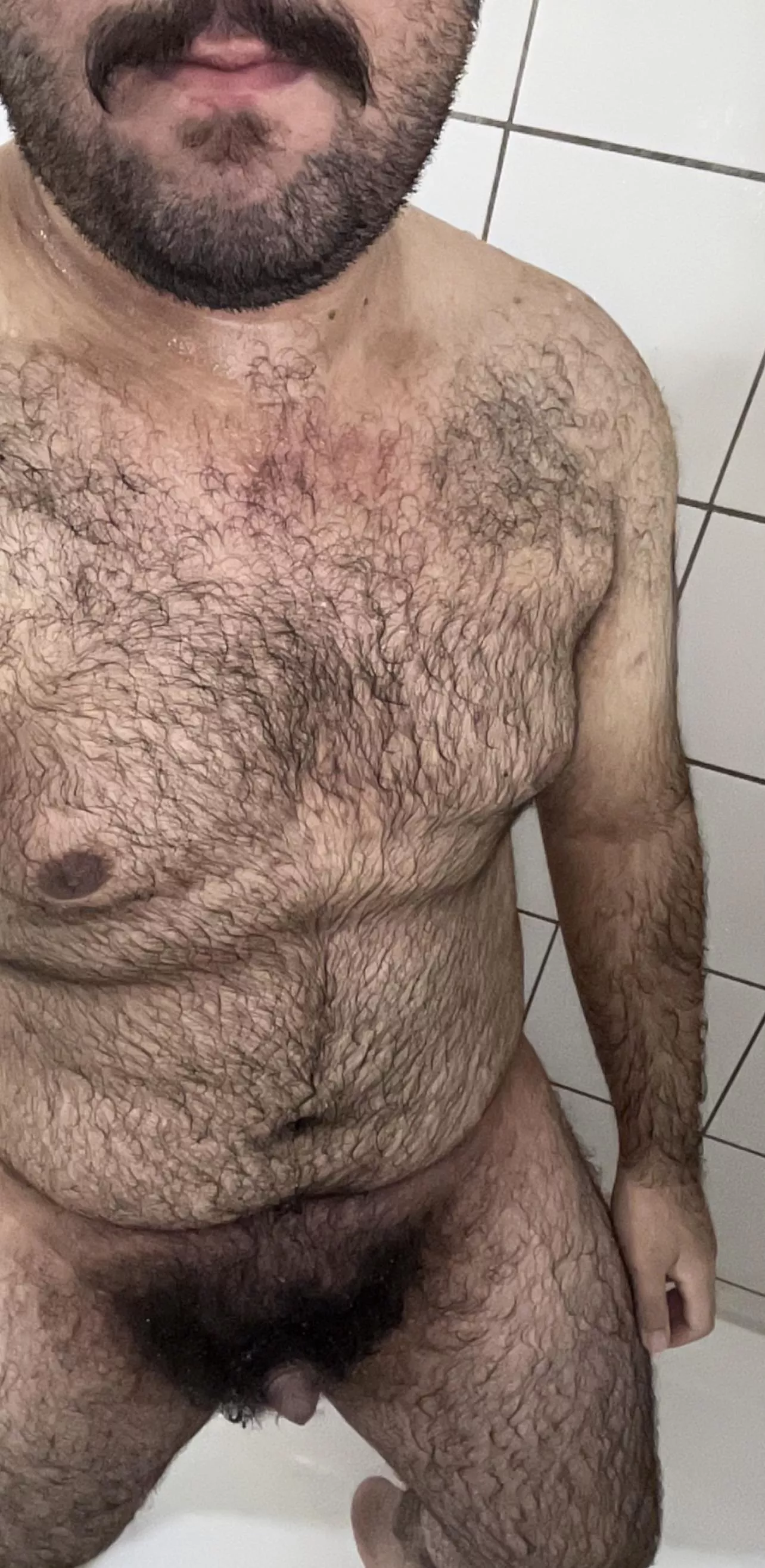 This 20 year old bottom cub needs an owner, perhaps a bf