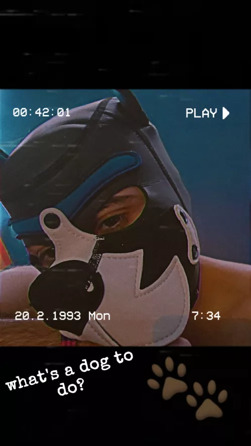 Wanna be put in my place 💙