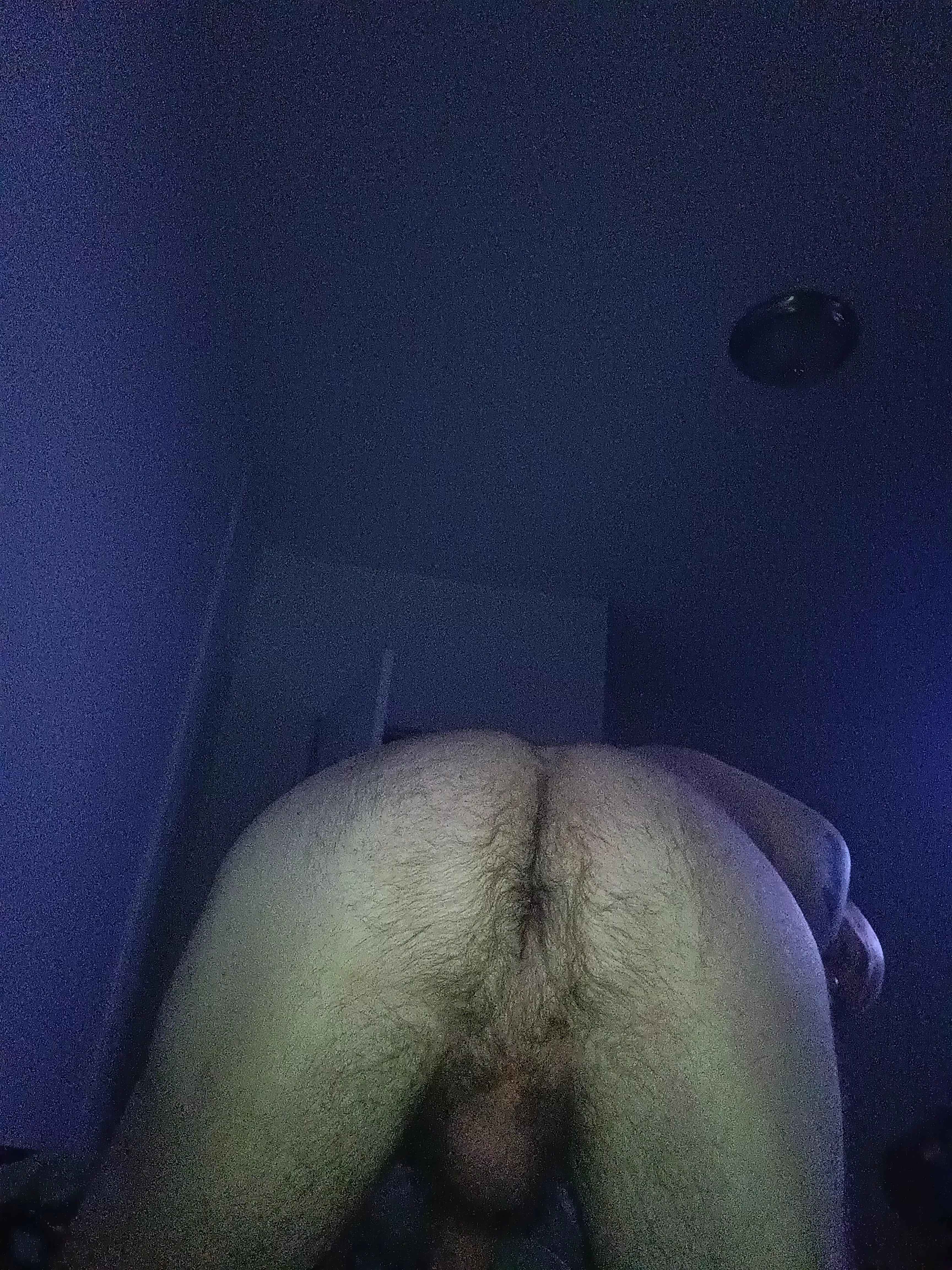 who is going to fuck my hairy tight hole?