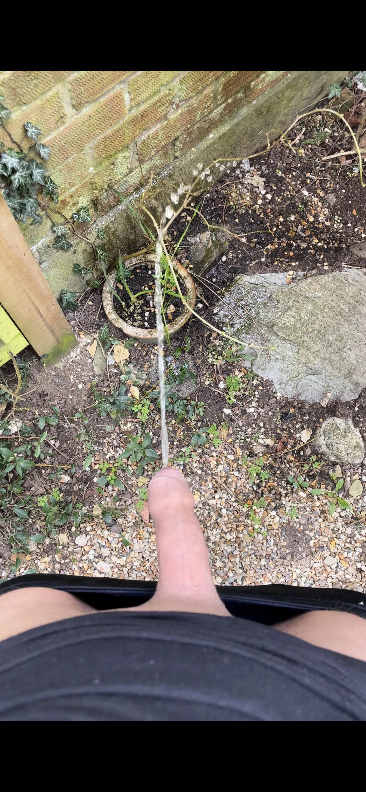 You drinking from this big sausage?