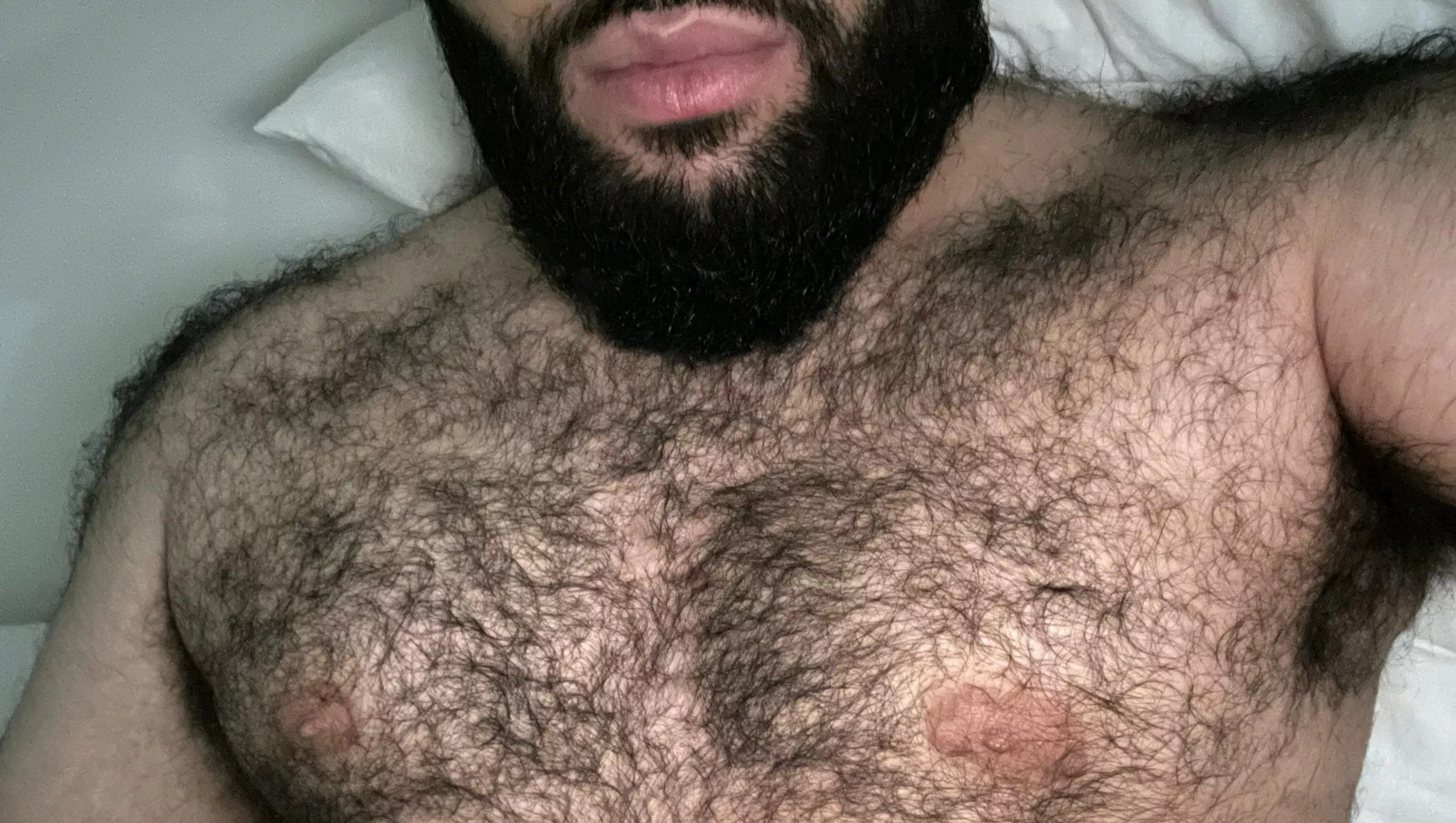 🐻