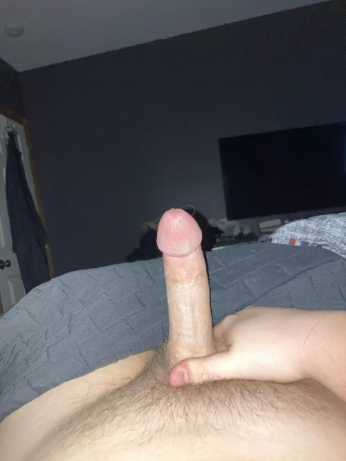 19 looking for bros to stroke with sc danglehanson