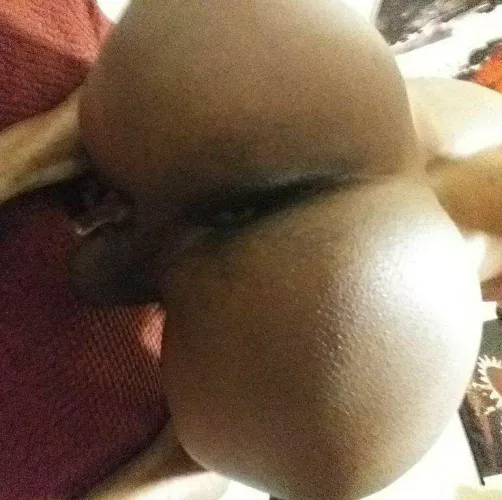 32 M. Any black cocks want to breed. Snap EclaiirFox