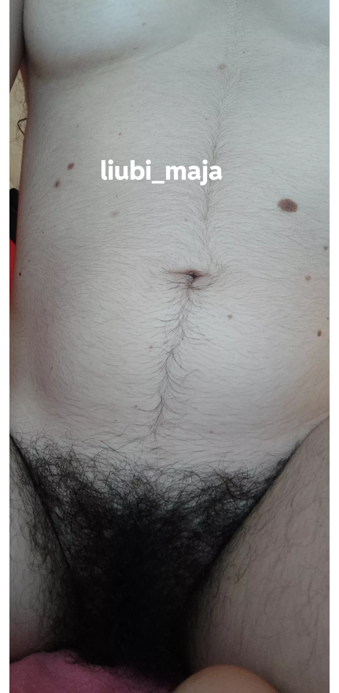 can I be your rug queen?