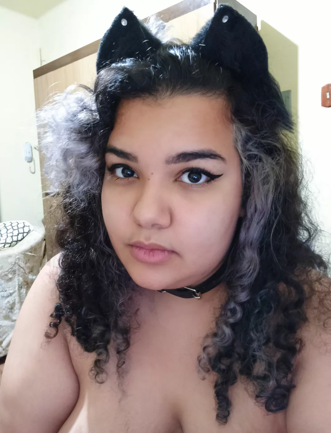 Do you want to adopt a kitten?