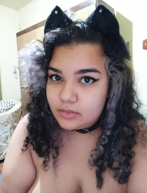 Do you want to adopt a kitten?