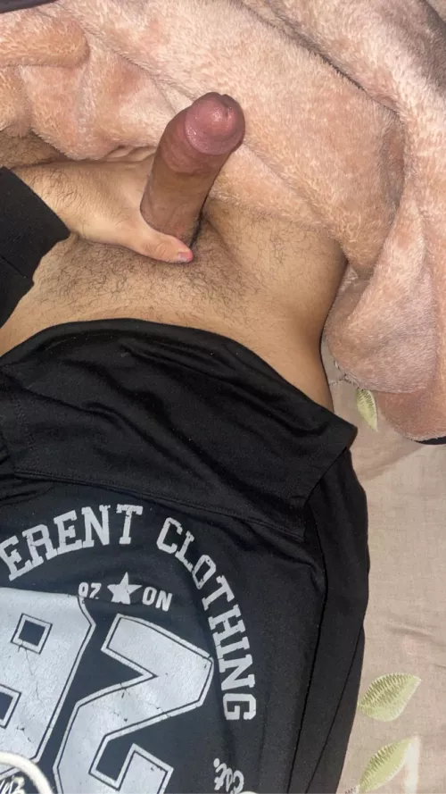 Egyptian college bull