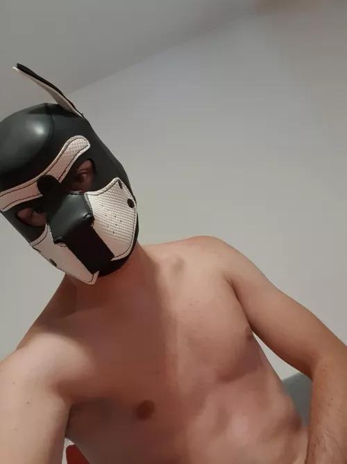 gay puppy enjoys his own smell🐾🔥