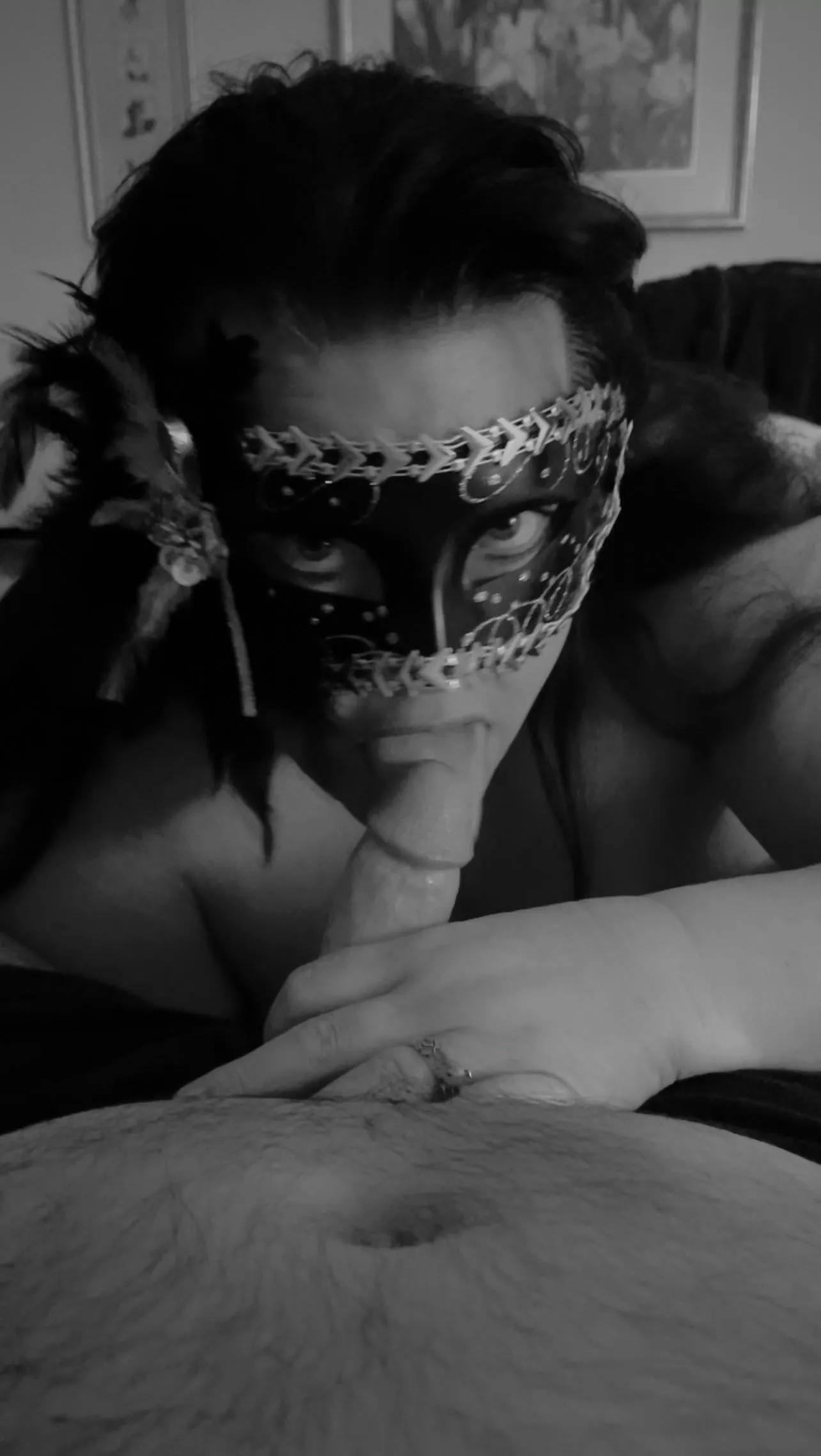 Happy Mardi Gras .. “Let them eat King Cake”!