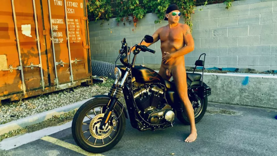 Have you ever seen a cum pig on a hog?