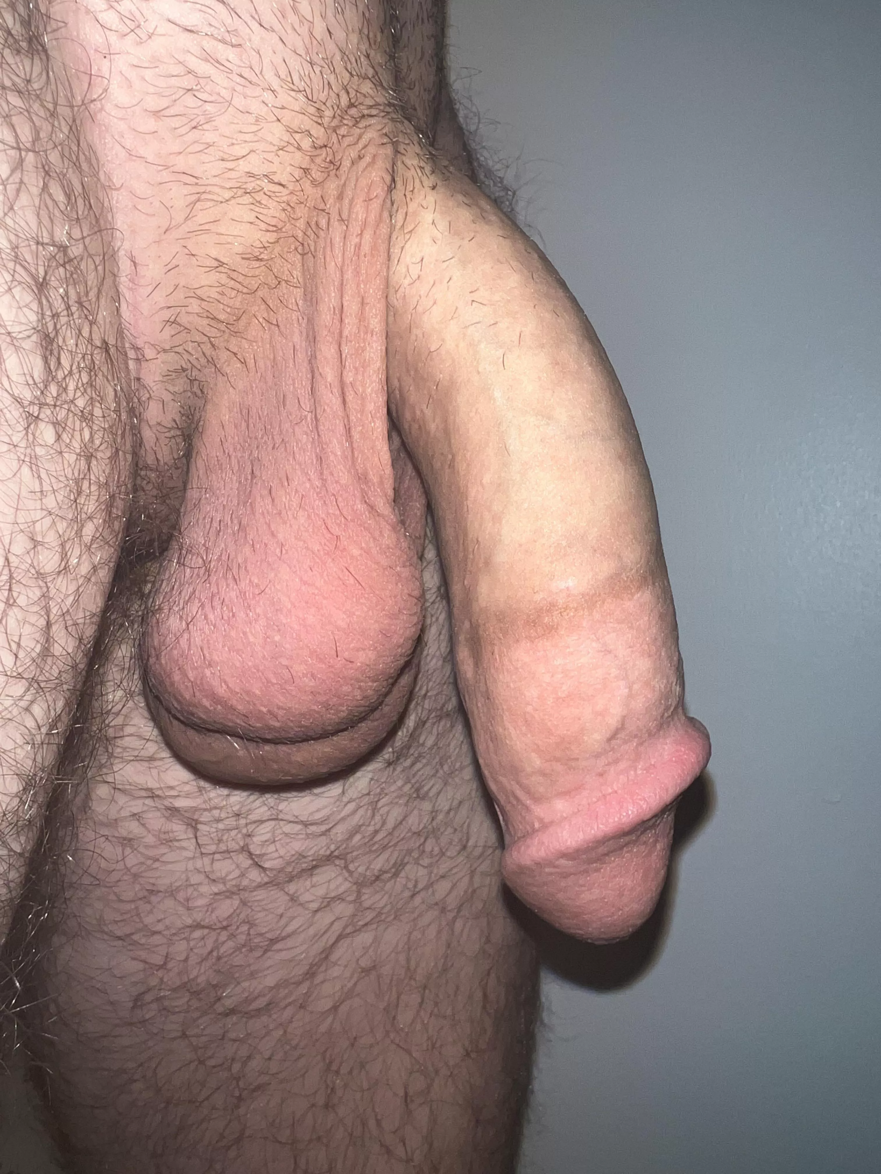 I think my softie looks good today, wbu?