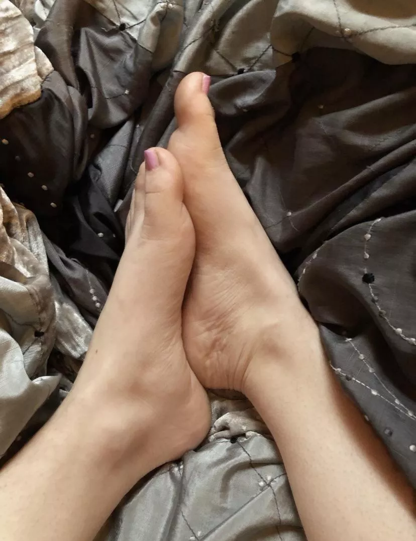 It has been way too long since my feet have been worshipped (OC)