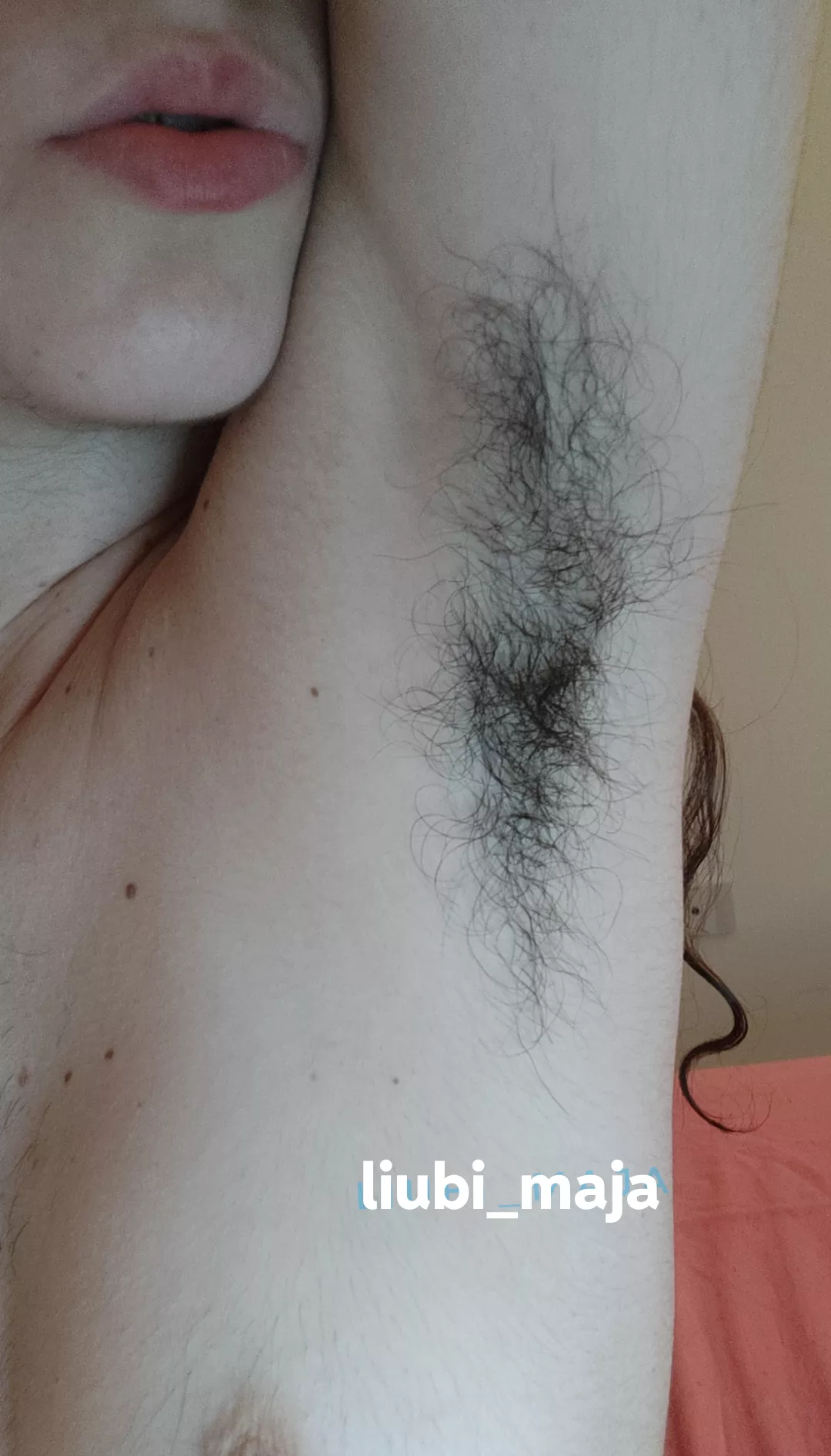 my armpits forest