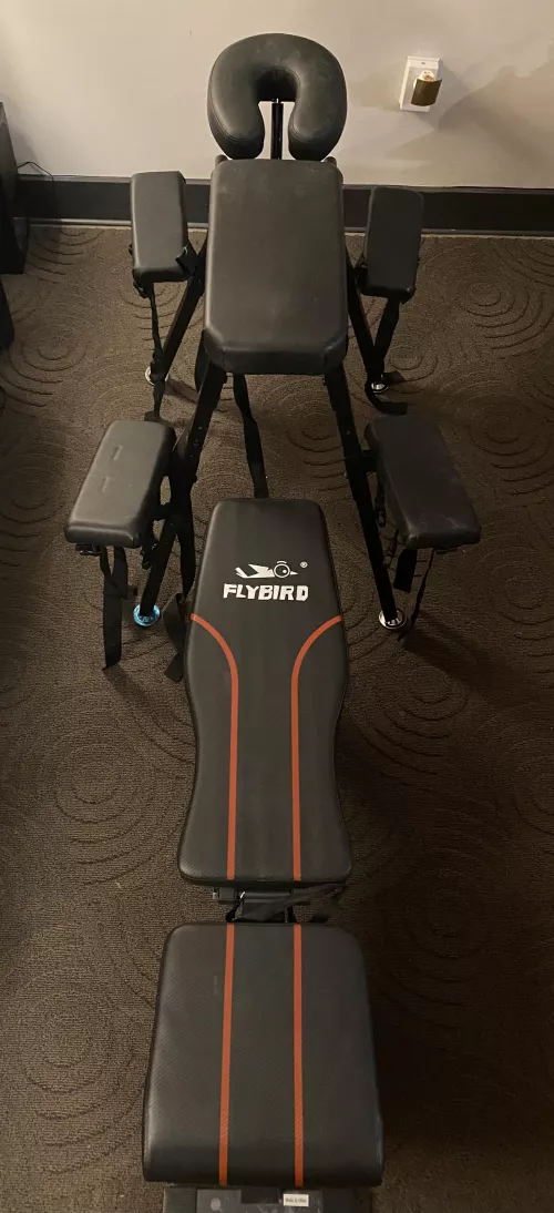 My milking bench. Incline bench in the back provides perfect support and range of motion.