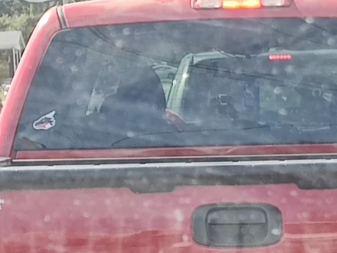 Saw my first sticker out in the wild today