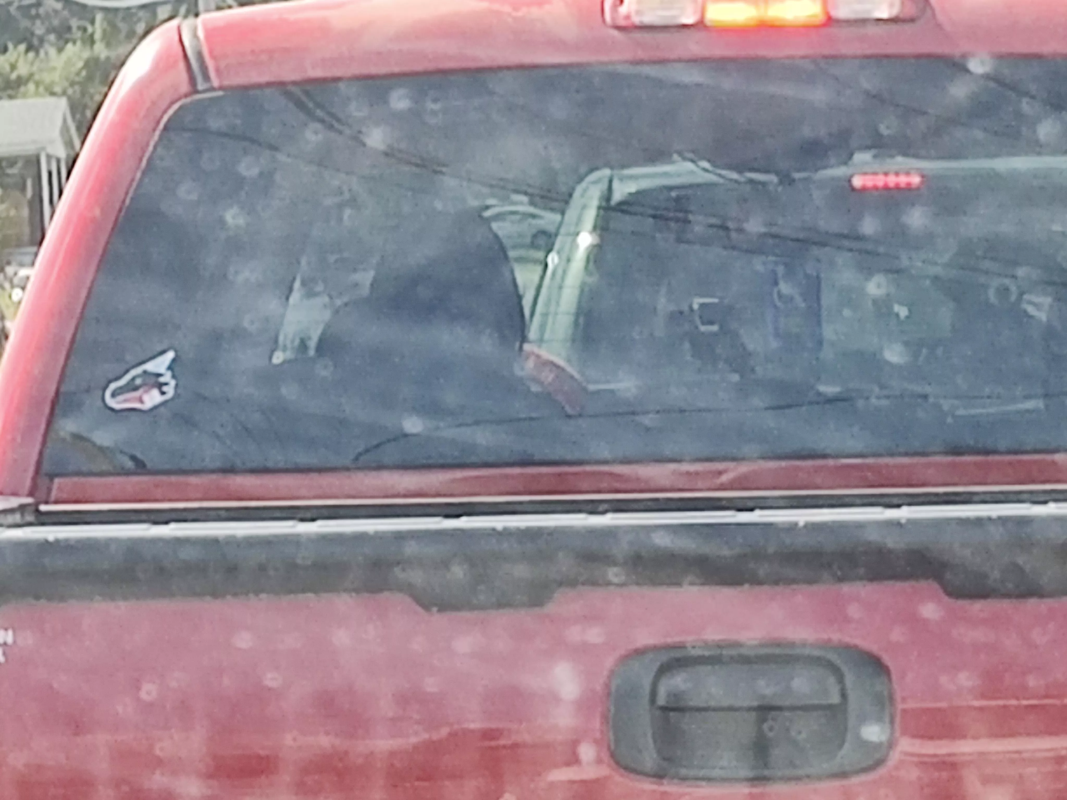 Saw my first sticker out in the wild today