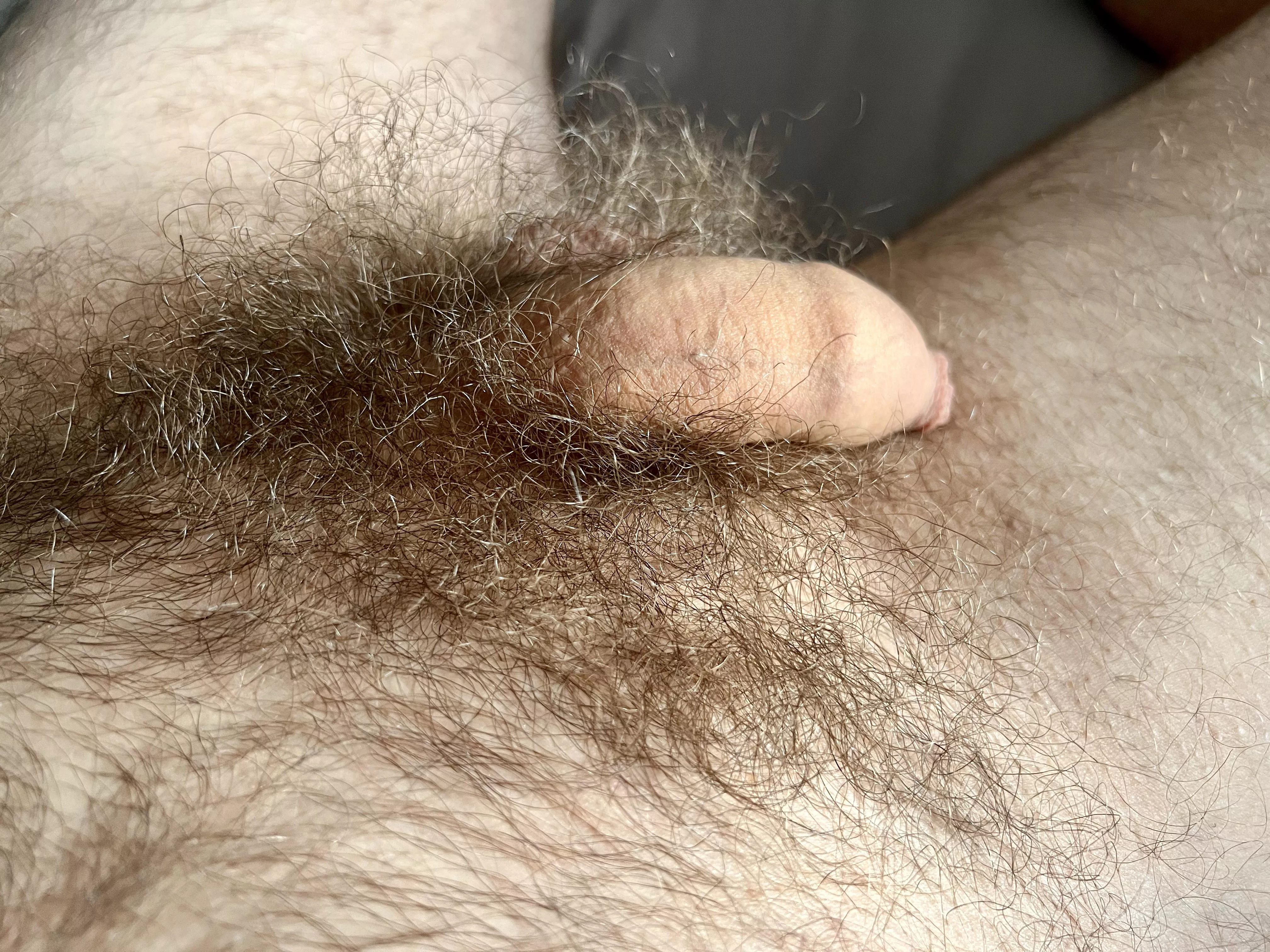 Sleepy hairy cock