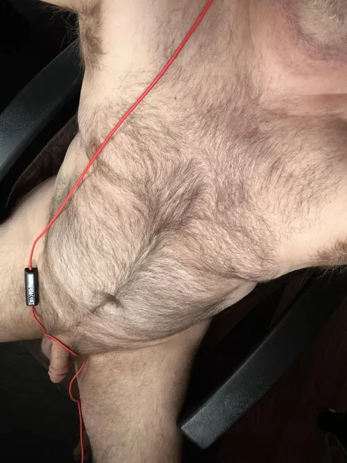 Some people get bed head. I get furry chest bed head in the mornings.