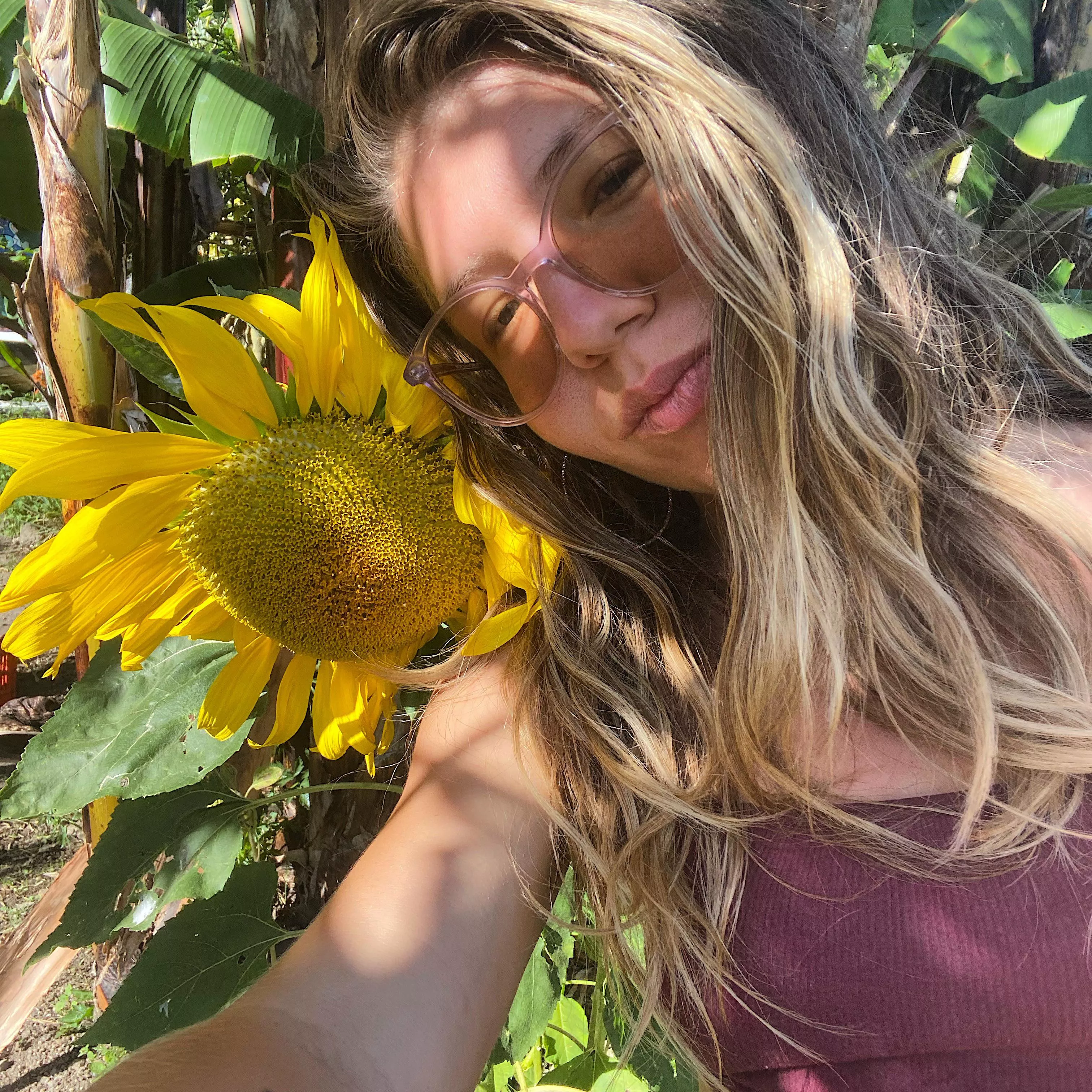 sunflower fairy