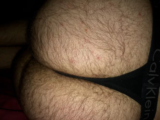 This hairy ass need some dick asap! DM id open for applications