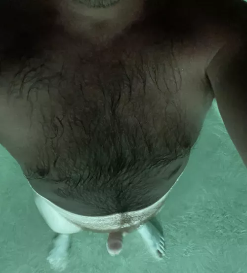 Wet fur from skinny dipping