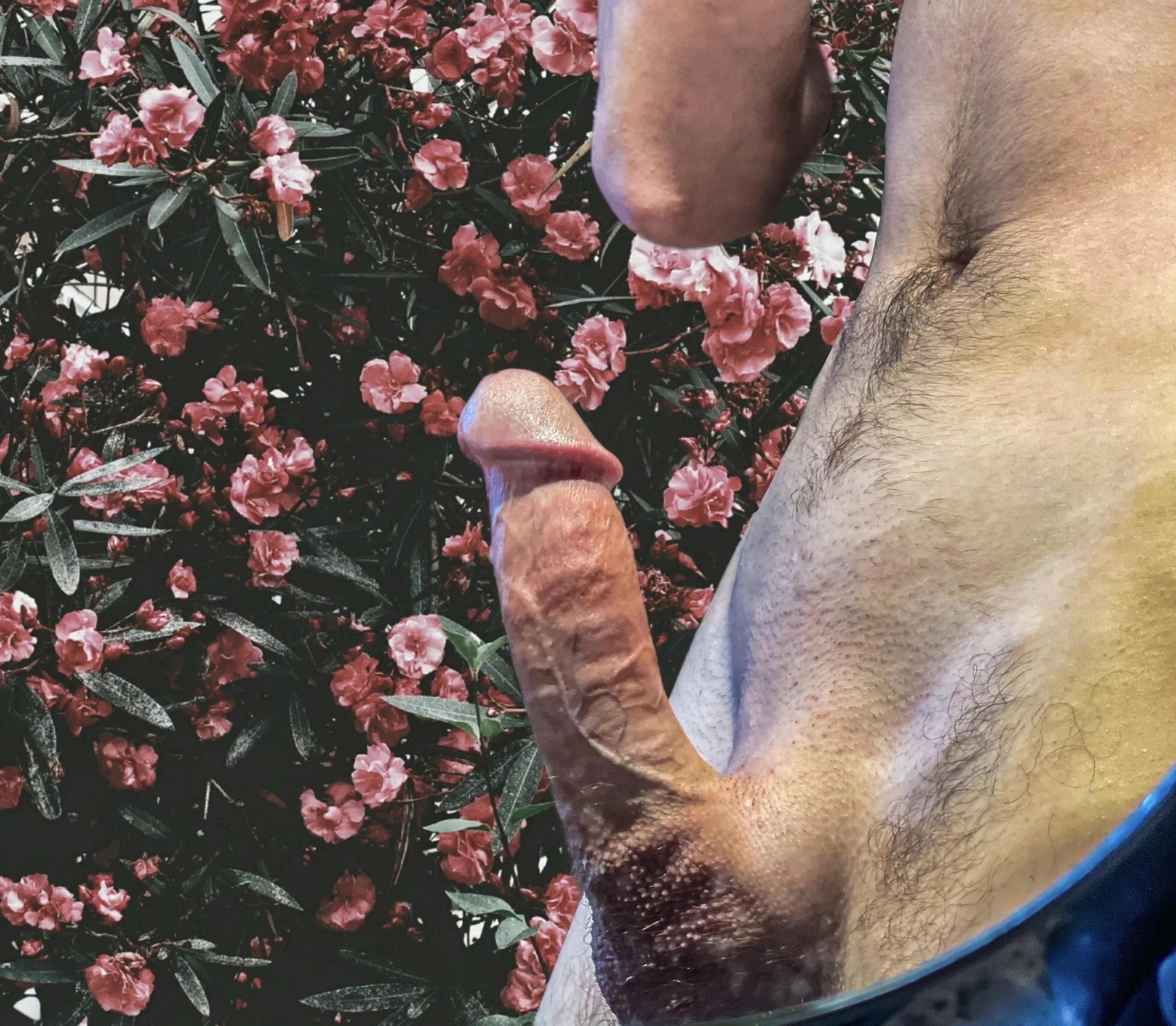 What would you do if you had this in-front of you??;)