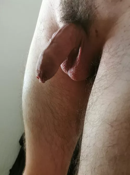 What's the first word that comes to mind when you see my cock?