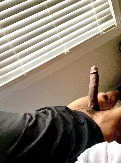 Woke up on BRICK 😮‍💨🍆