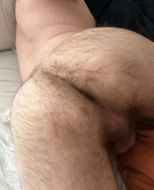 21 dmih54321 into hairy