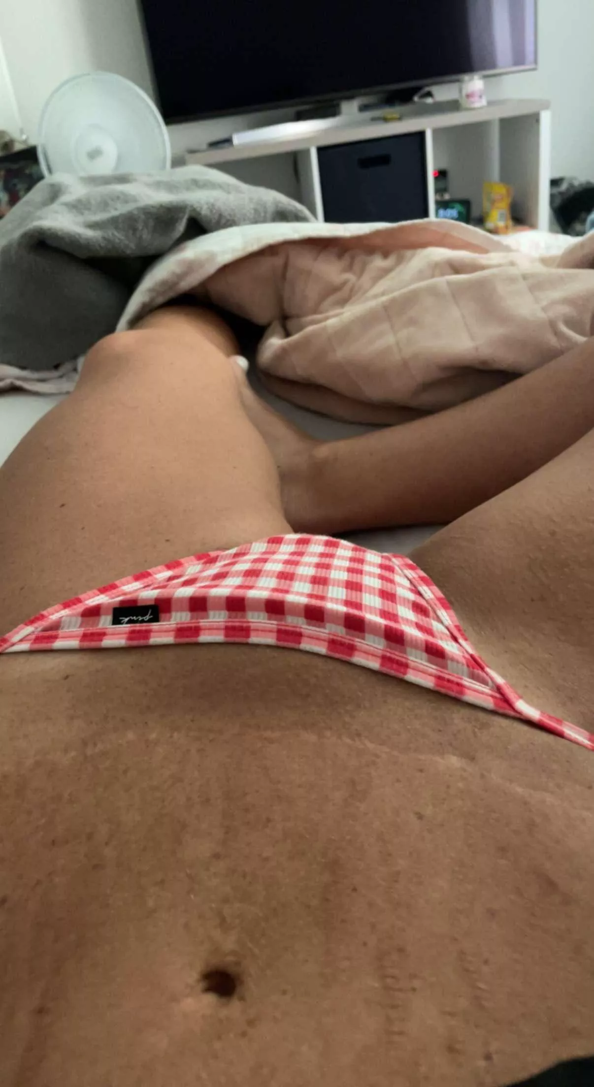 Are you ready for the picnic