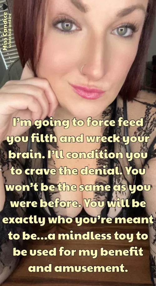 Brainwashed toys should have their brains pumped full of filthy thoughts for the amusement of superior women. They love the mind fuck 🐷😵‍💫 [Domme]