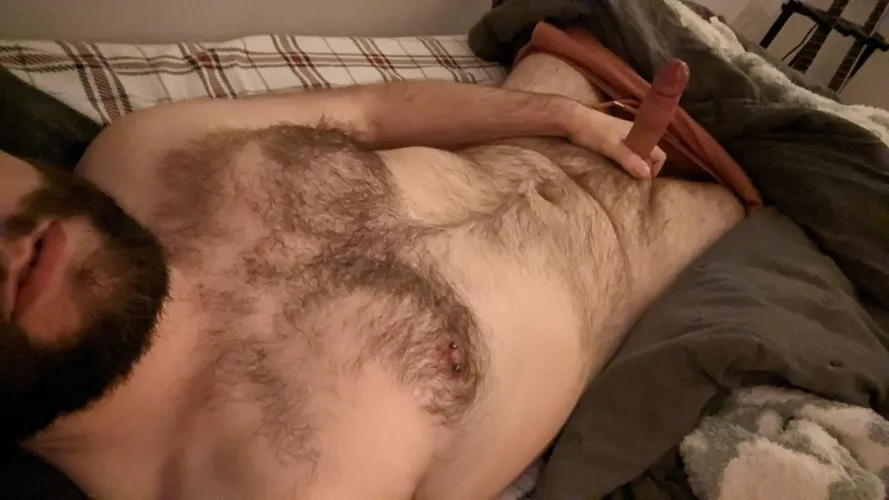 Can't keep it down lately. Need someone who wants a hairy boy to come over 😉