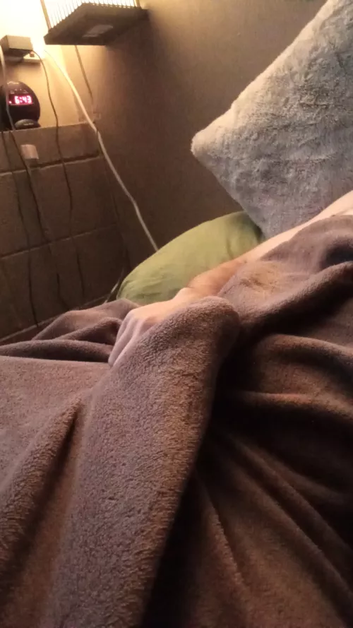 Do you want to see it?