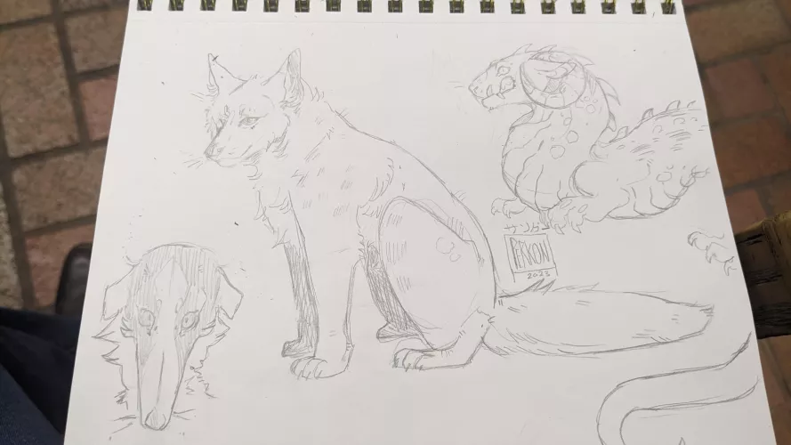 Doodles before my flight