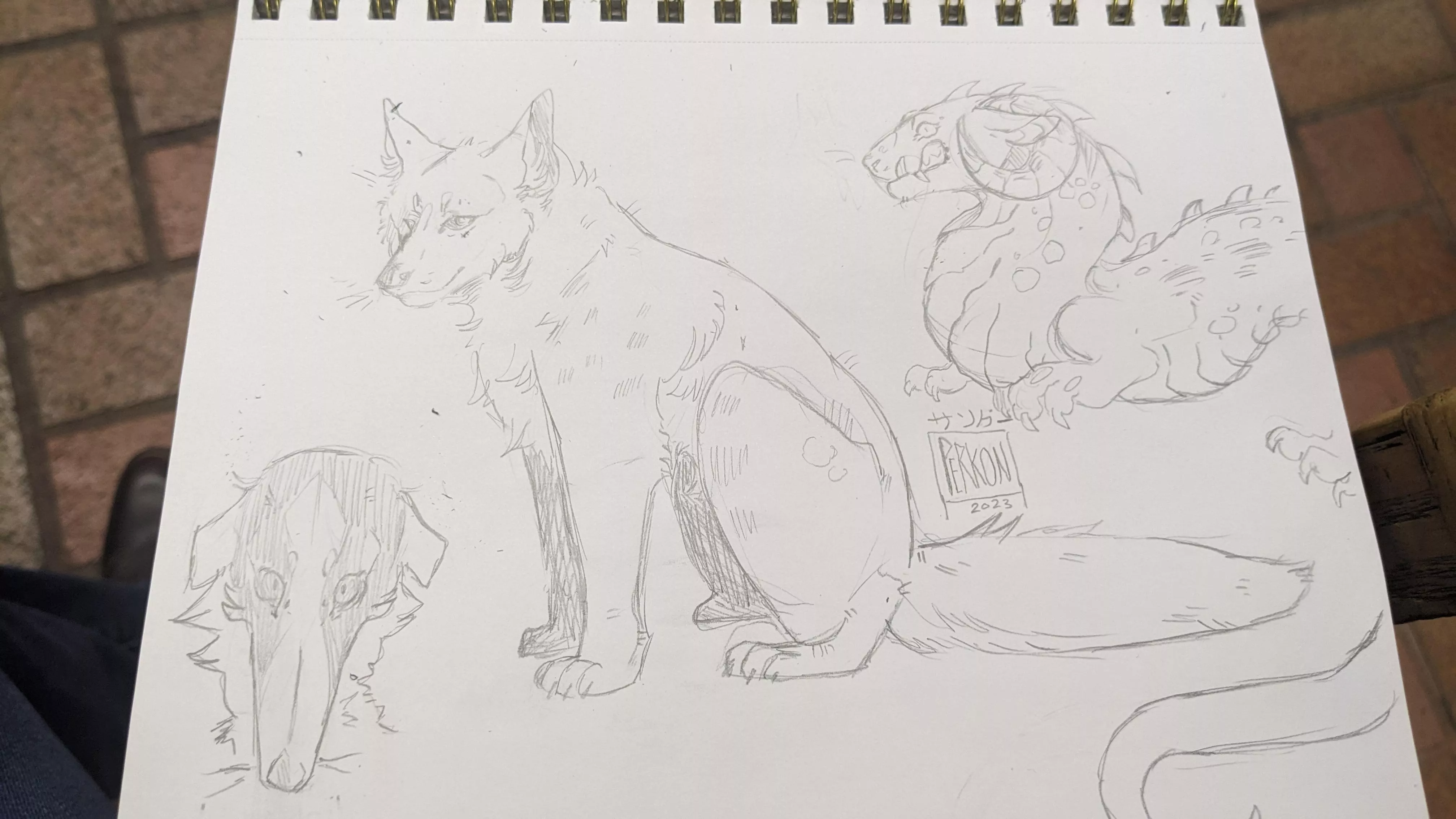 Doodles before my flight