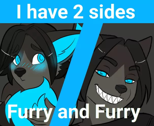 Furry and Furry