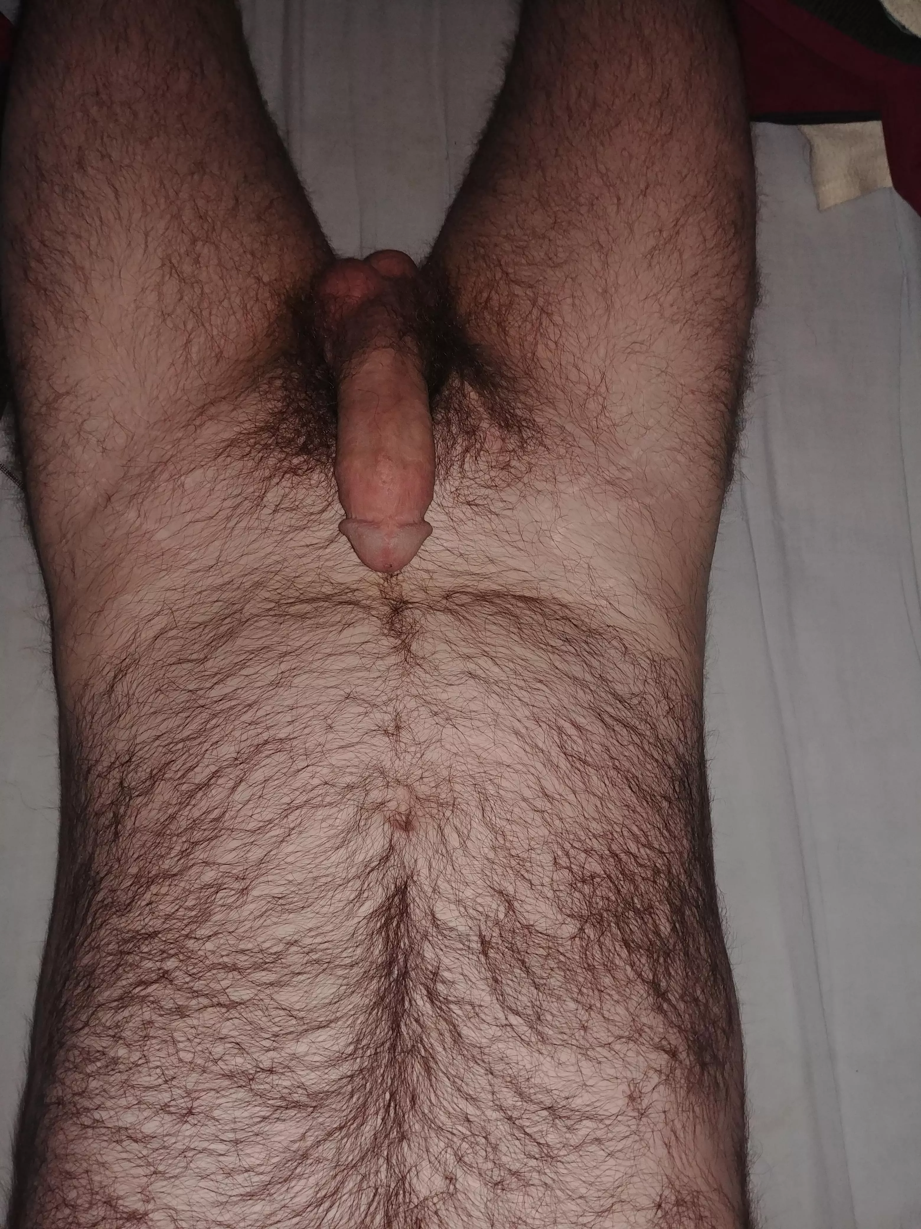 Good morning fellow fuzzy friends ;)