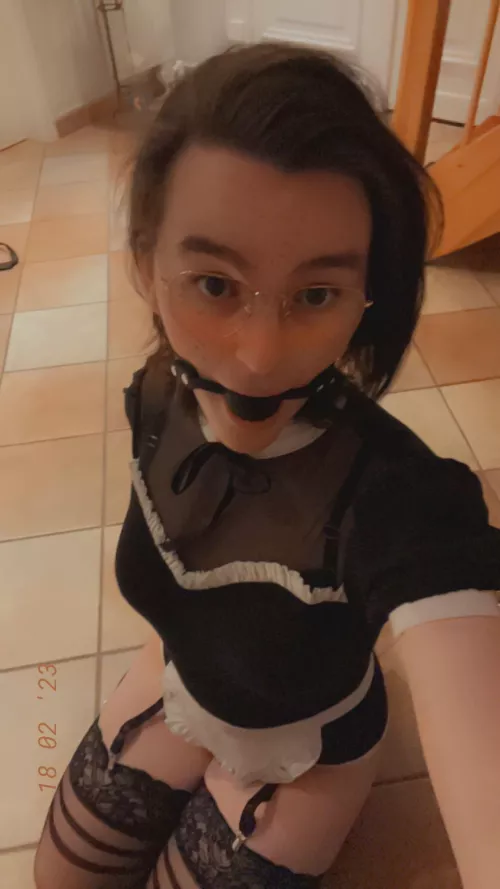 I will never ask again, I swear