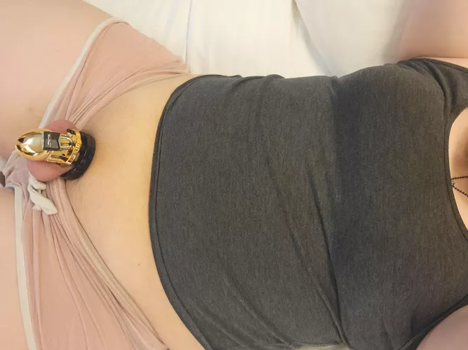 I'm absolutely loving my new cage. this is day 15 in lock up.