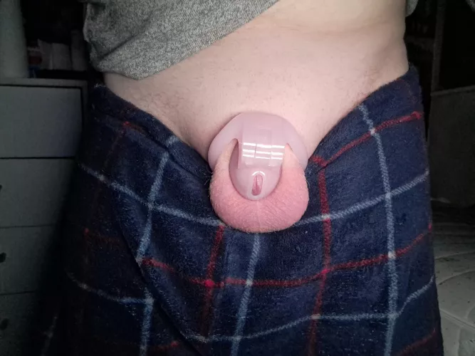 my gf wants me to freeze my sperm and get an orchiectomy, i dont want to do that, but i dont want to disobey her. What do i do?