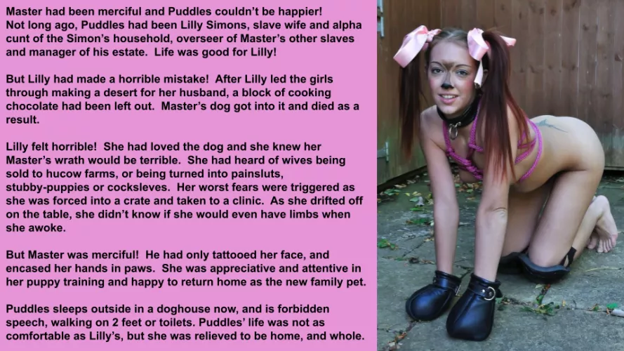 Puddles was a happy Puppy