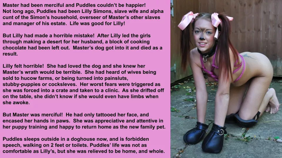 Puddles was a happy Puppy