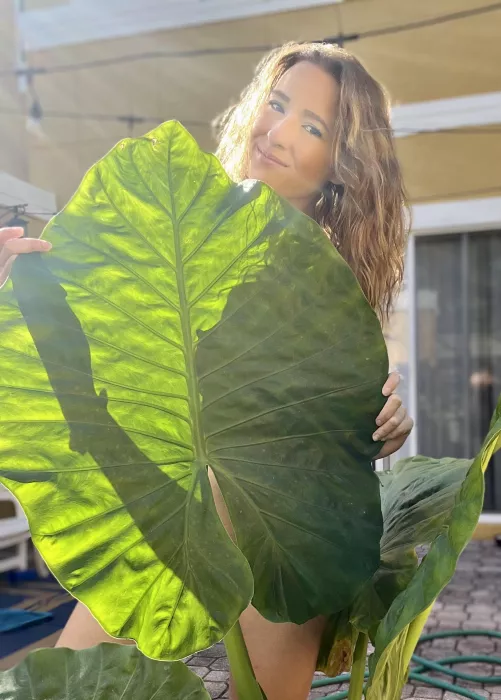 Sunshine [F]eels amazing ☀️