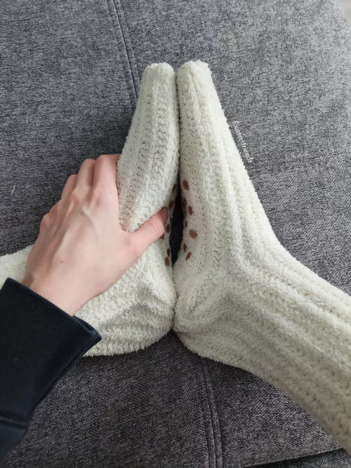 the coziest socks 🤍