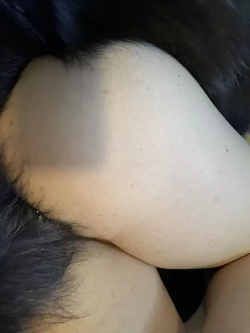 This is my new favorite pic