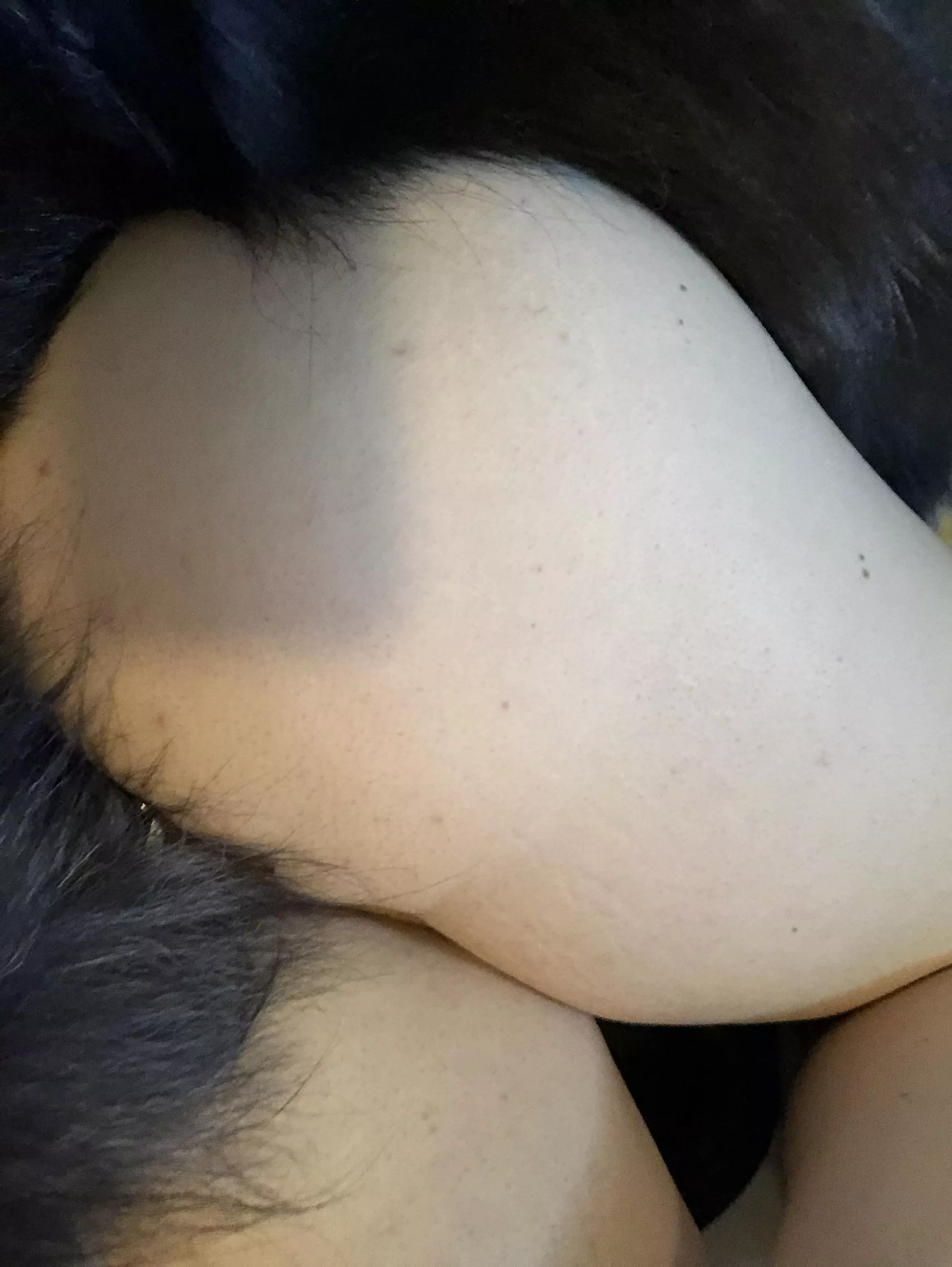 This is my new favorite pic