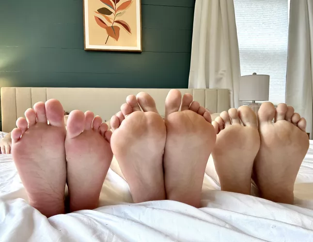 Which of these soles would you glaze first?