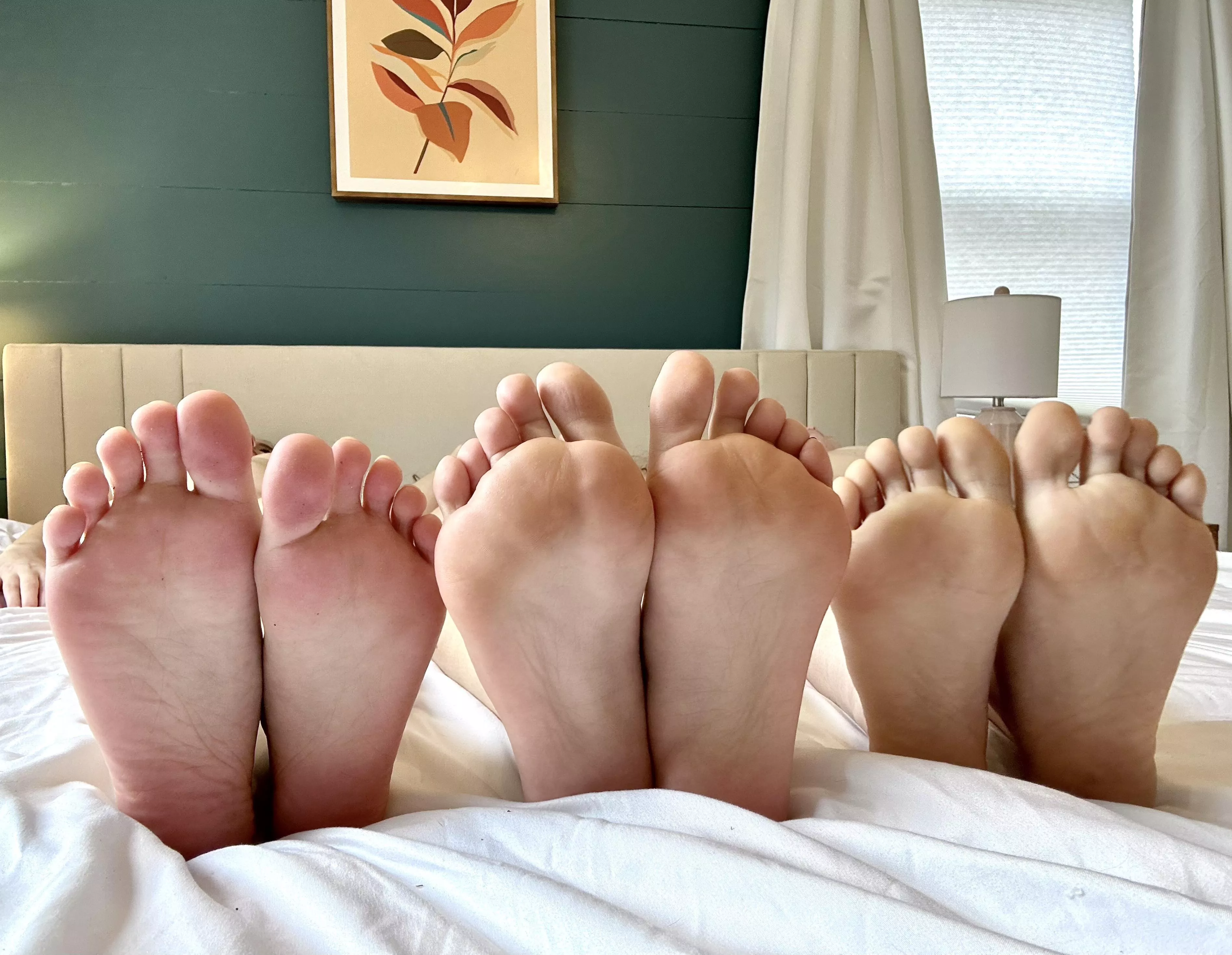 Which of these soles would you glaze first?